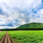 La interacción entre el espacio agrícola y los aspectos humanos
