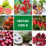 Frutas con la letra G: colorea tus platos